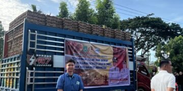 WhatsApp Image 2026 01 16 at 19.04.34