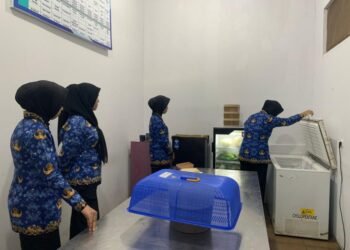 WhatsApp Image 2026 01 17 at 08.06.05