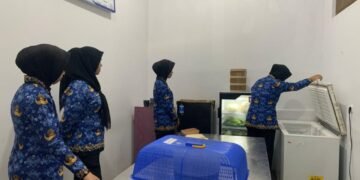 WhatsApp Image 2026 01 17 at 08.06.05