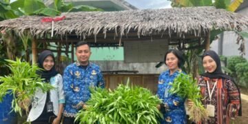 WhatsApp Image 2026 01 17 at 09.52.46