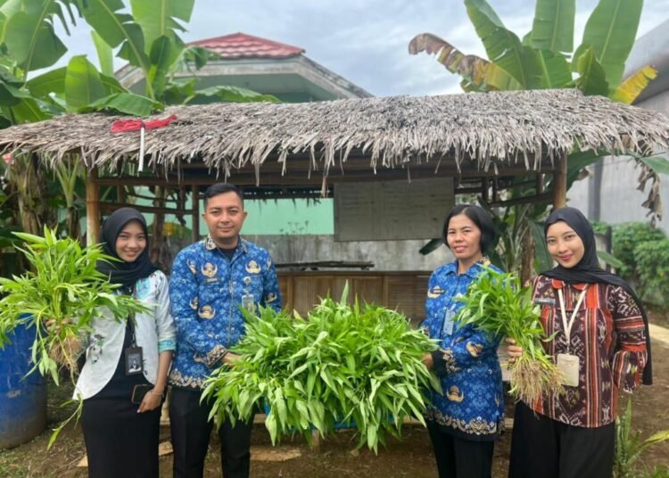 WhatsApp Image 2026 01 17 at 09.52.46