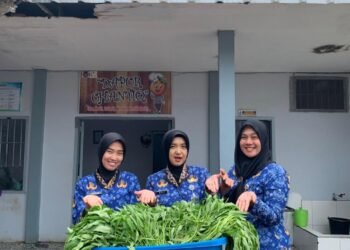 WhatsApp Image 2026 01 17 at 10.35.43