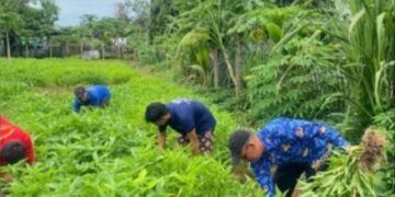 WhatsApp Image 2026 01 17 at 20.30.40 1