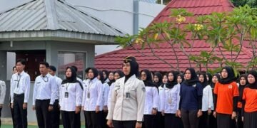 WhatsApp Image 2026 01 19 at 09.49.46