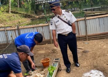 WhatsApp Image 2026 01 19 at 11.48.44