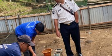 WhatsApp Image 2026 01 19 at 11.48.44