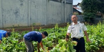 WhatsApp Image 2026 01 20 at 13.36.43