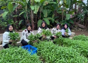 WhatsApp Image 2026 01 21 at 16.35.15