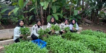 WhatsApp Image 2026 01 21 at 16.35.15