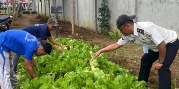 WhatsApp Image 2026 01 22 at 11.27.55 1