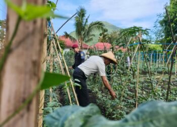 WhatsApp Image 2026 01 22 at 19.35.45 1