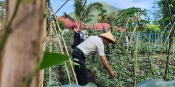 WhatsApp Image 2026 01 22 at 19.35.45 1