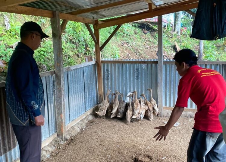 WhatsApp Image 2026 01 23 at 11.34.31 1