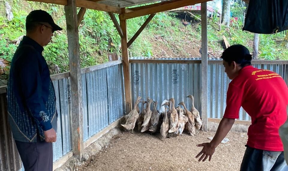 WhatsApp Image 2026 01 23 at 11.34.31 1