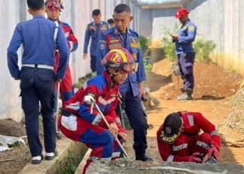 Sinergi Damkar dan LPP Bengkulu Dalam Penanganan Ular di Area Brandgang 1 WhatsApp Image 2026 01 27 at 11.24.12