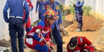 WhatsApp Image 2026 01 27 at 11.24.12