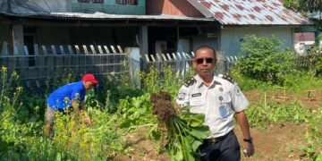 WhatsApp Image 2026 01 27 at 13.27.51 1