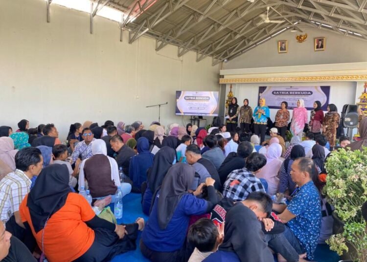 WhatsApp Image 2026 01 31 at 11.49.04