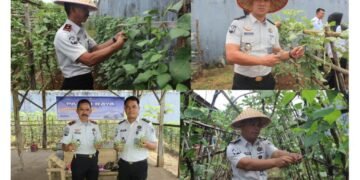 d6be1213 45ac 4cb2 b520 3a33f6b6d280