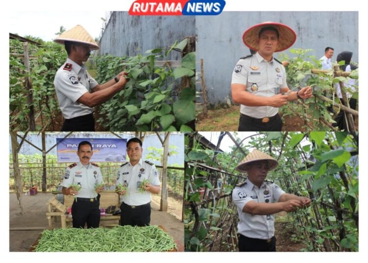 d6be1213 45ac 4cb2 b520 3a33f6b6d280