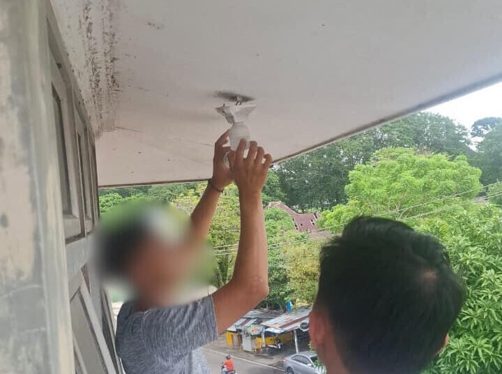 e77d01b5 1f5a 4018 b28f e43d4917a6dd