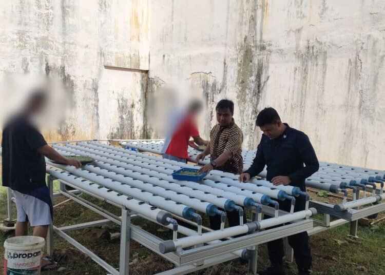 1ecf5c64 cf40 425a b83d ff1e7251ca73