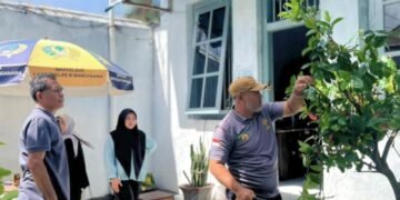 IMG 20260212 WA0032