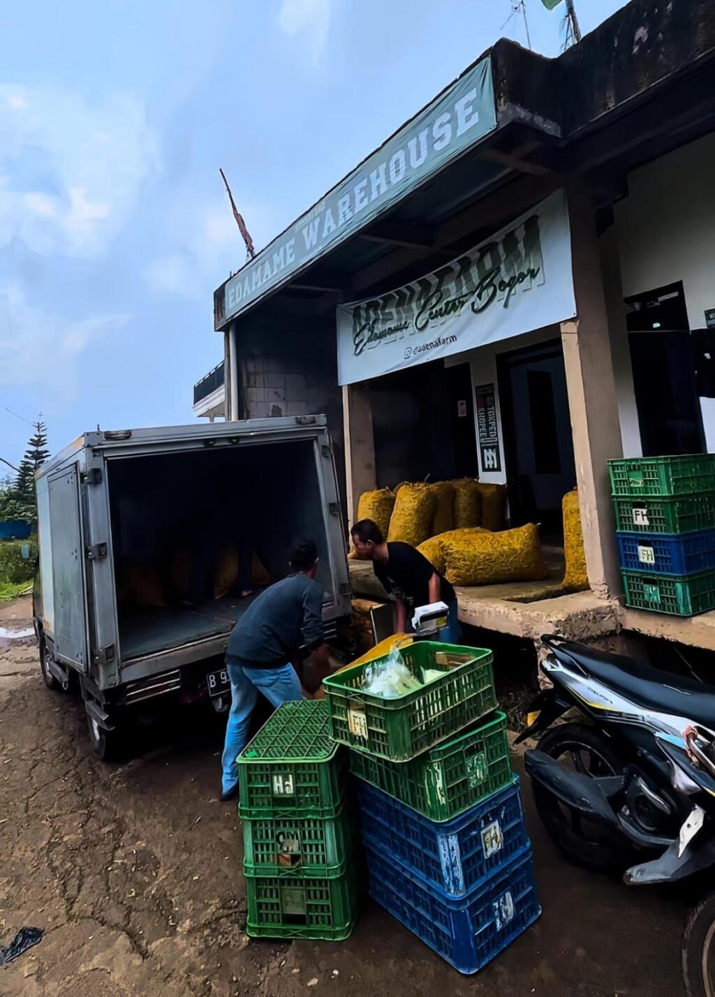 Muhamad Deden Alias Aden Dorong ADENAFARM Naik Kelas Lewat Sistem Agribisnis Edamame yang Terstruktur 2 Muhamad Deden