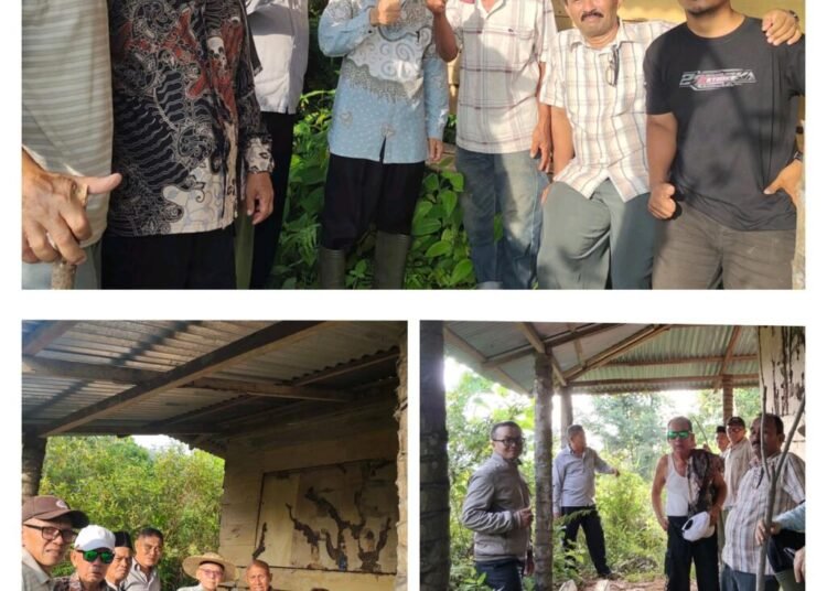 Yayasan Cahaya Akhir Hayat Terima Wakaf Tanah 3.000 M² di Sungai Lareh untuk Usaha Wakaf Produktif Kebun Aren 1 Yayasan Cahaya Akhir Hayat