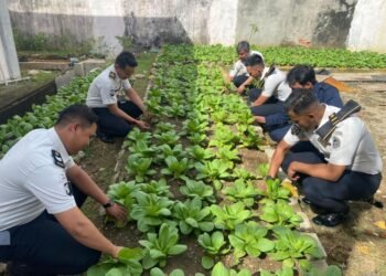 WhatsApp Image 2026 02 02 at 09.31.55