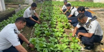 WhatsApp Image 2026 02 02 at 09.31.55