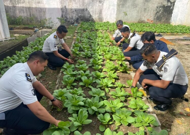 WhatsApp Image 2026 02 02 at 09.31.55