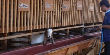 WhatsApp Image 2026 02 02 at 11.24.07 1