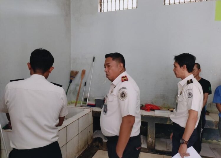 WhatsApp Image 2026 02 03 at 11.51.59