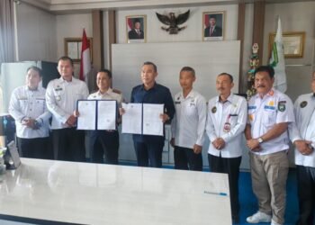 WhatsApp Image 2026 02 04 at 16.49.03