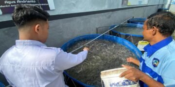 WhatsApp Image 2026 02 05 at 09.26.52