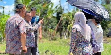 WhatsApp Image 2026 02 05 at 14.02.20