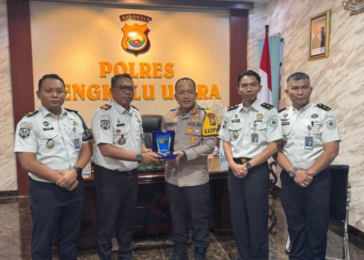 WhatsApp Image 2026 02 05 at 14.19.54