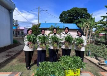 WhatsApp Image 2026 02 05 at 17.09.11 2