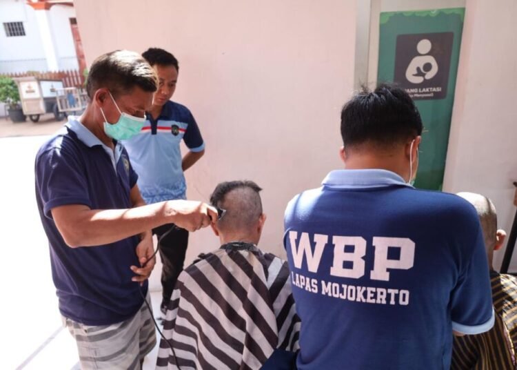 WhatsApp Image 2026 02 06 at 09.20.51