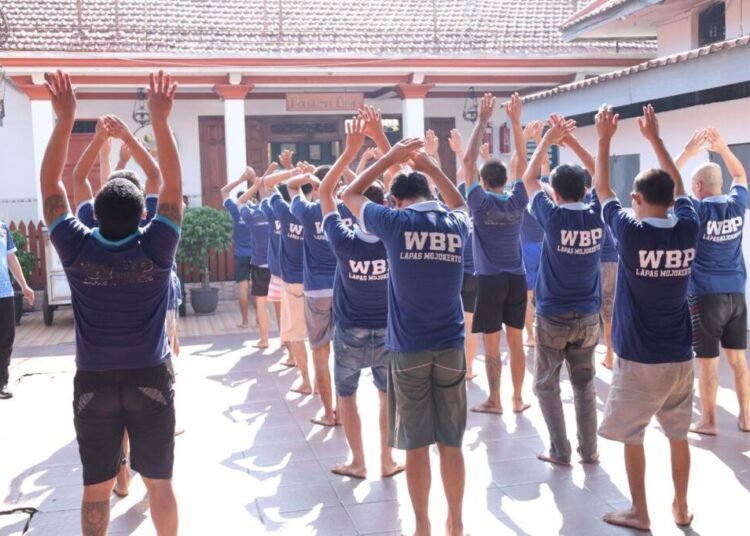 WhatsApp Image 2026 02 06 at 10.17.02