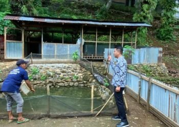 WhatsApp Image 2026 02 06 at 11.09.06