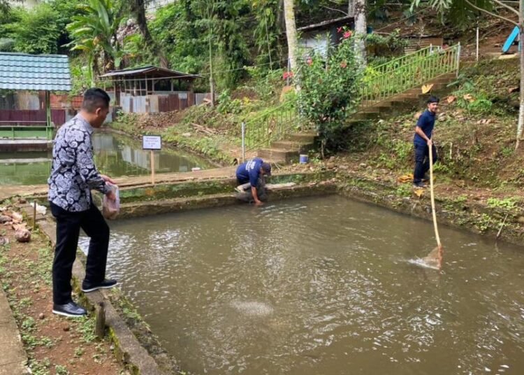 WhatsApp Image 2026 02 06 at 11.09.16 1