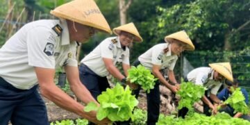 WhatsApp Image 2026 02 09 at 13.01.34