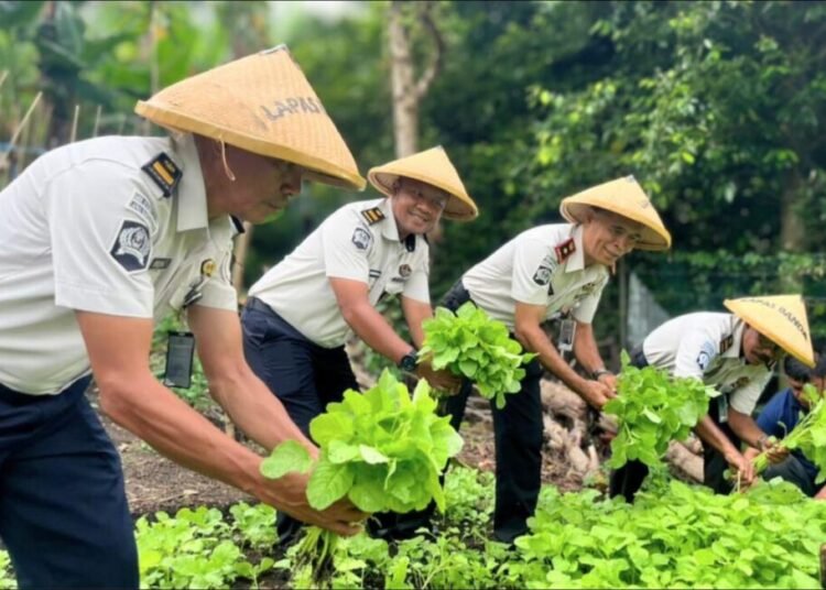 WhatsApp Image 2026 02 09 at 13.01.34