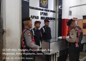 WhatsApp Image 2026 02 11 at 08.02.28