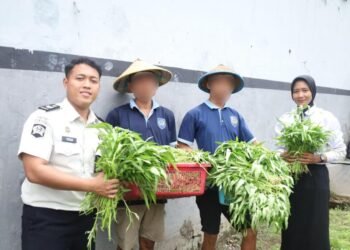 Implementasi 15 Program Aksi, Lapas Mojokerto Kembangkan Kemandirian Pangan Melalui Panen Kangkung 1 WhatsApp Image 2026 02 11 at 11.13.17