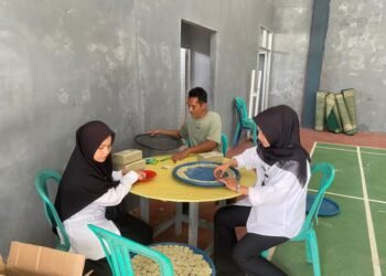 WhatsApp Image 2026 02 11 at 12.26.30