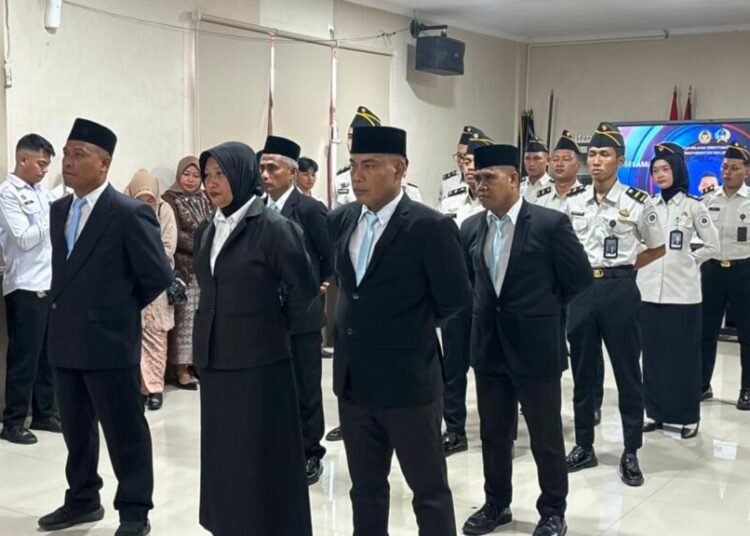 WhatsApp Image 2026 02 11 at 14.12.35