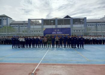 WhatsApp Image 2026 02 12 at 08.42.32